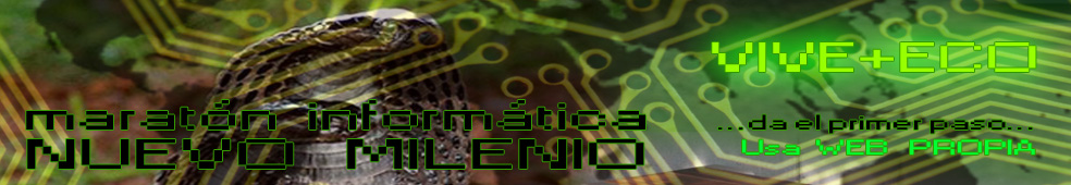 Maratón Informática Nuevo Milenio