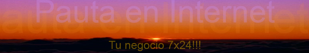 Pauta en internet. Tu negocio 7x24!!!