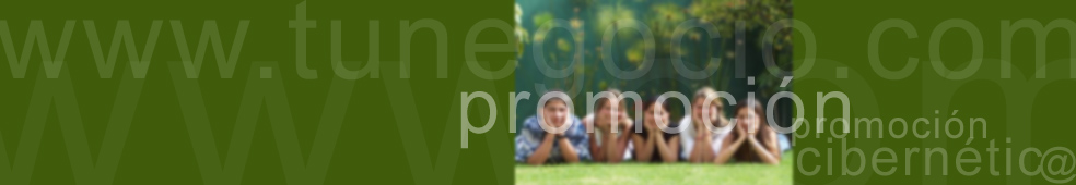 Promoción Cibernética