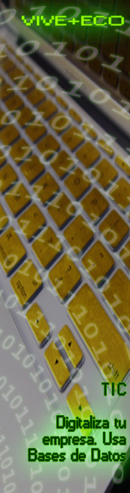 TIC Digitaliza tu empresa. Usa Bases de Datos